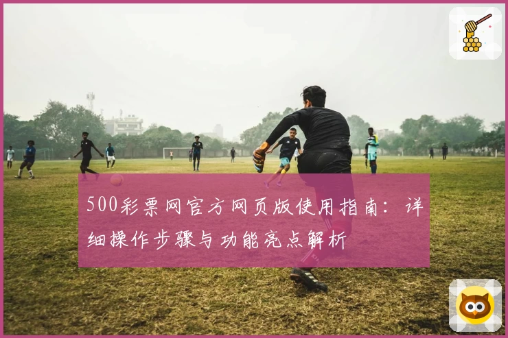 500彩票网官方网页版使用指南：详细操作步骤与功能亮点解析